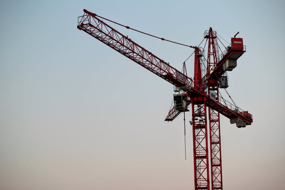 Red and Black Crane